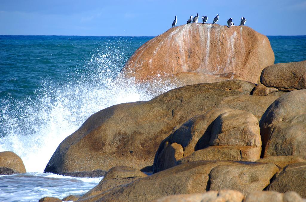 Cloudy Bay Beach House South Bruny ภายนอก รูปภาพ